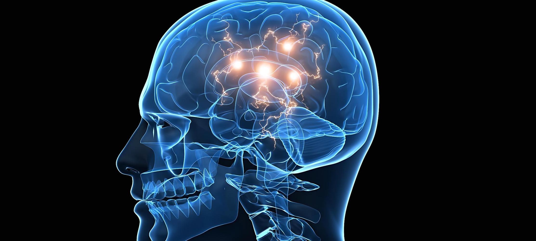 Sessione di studio collaborativa del gruppo di ricerca deep learning