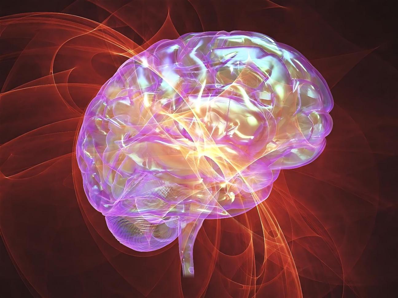 Studenti che lavorano su modelli di deep learning